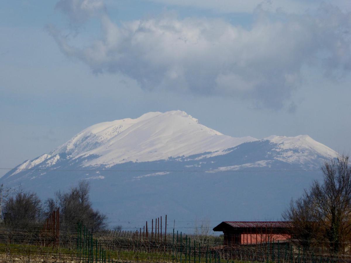 Casa Marele Villa San Martino della Battaglia Kültér fotó